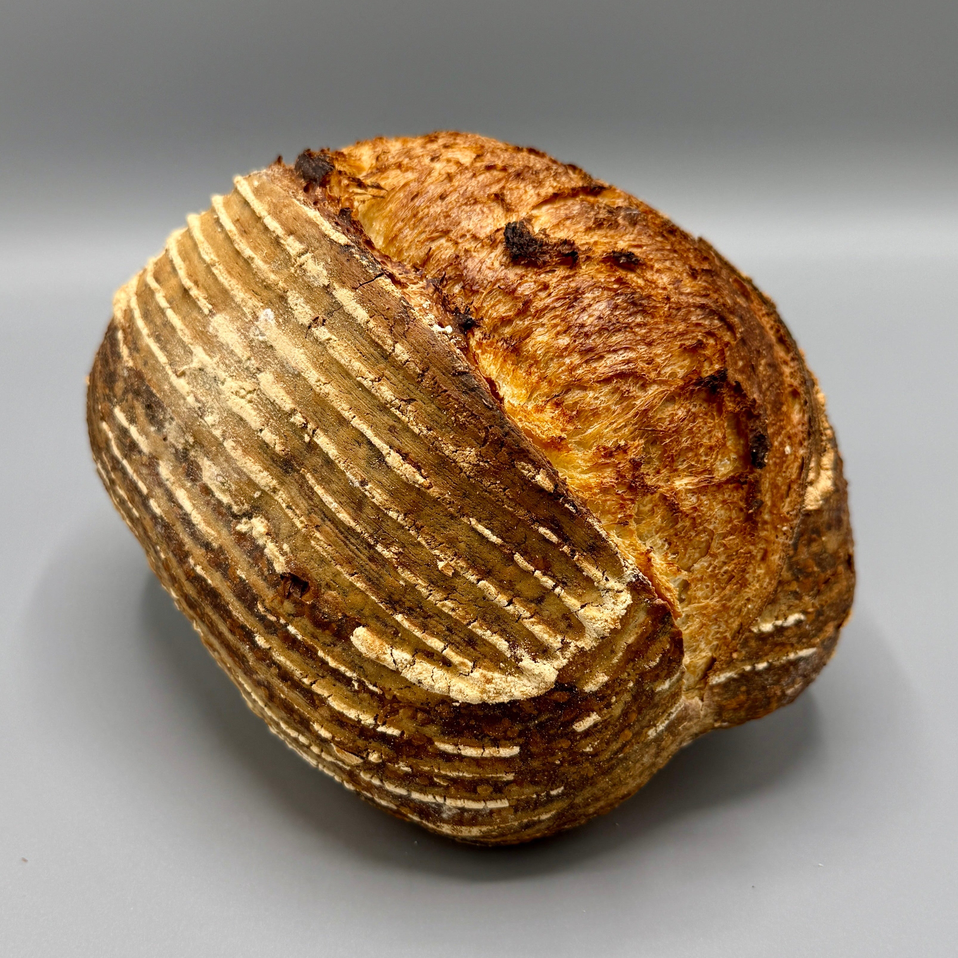 MASA MADRE CAMPESINO 1.1 kg